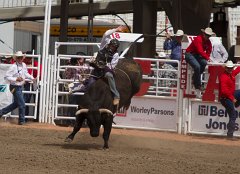 Calgary Stampede-2221